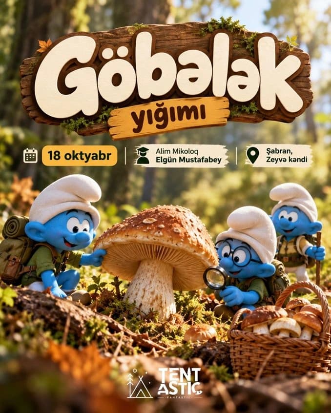 Mushroom Foraging Training — hiking tour in Azerbaijan