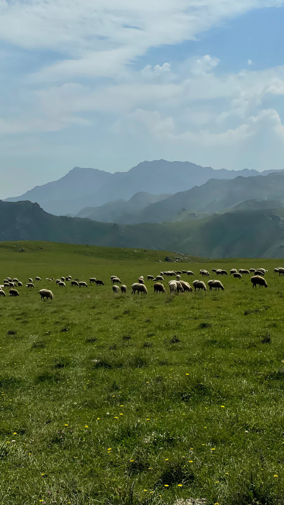 Kəpəz Dağı Zirvə Turu 3066m, Göygöl — tur fotosu 6