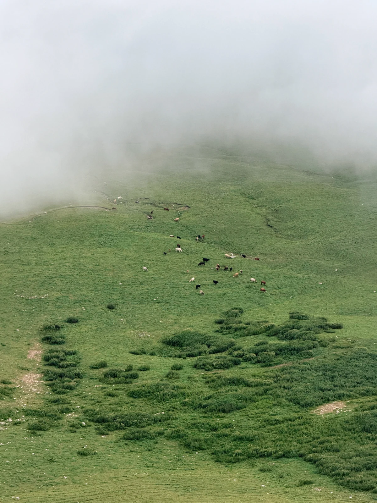 Qalaxudat-Mıxtökən-Laza, Quba — tur fotosu 6
