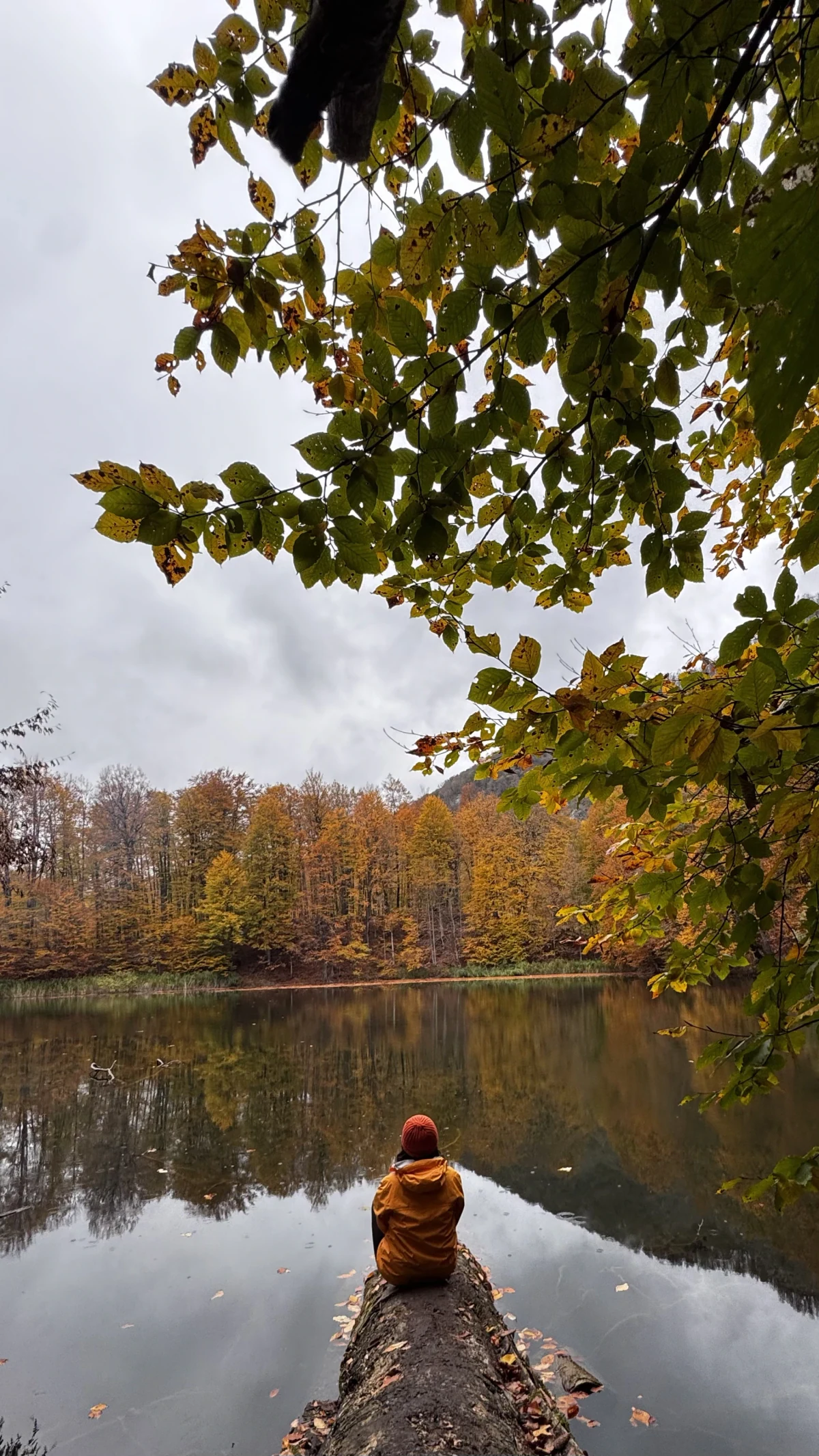 Möhtəşəm Qızıl Qaranohur gölü yürüşü🍁🍂, İsmayıllı — tur fotosu 3