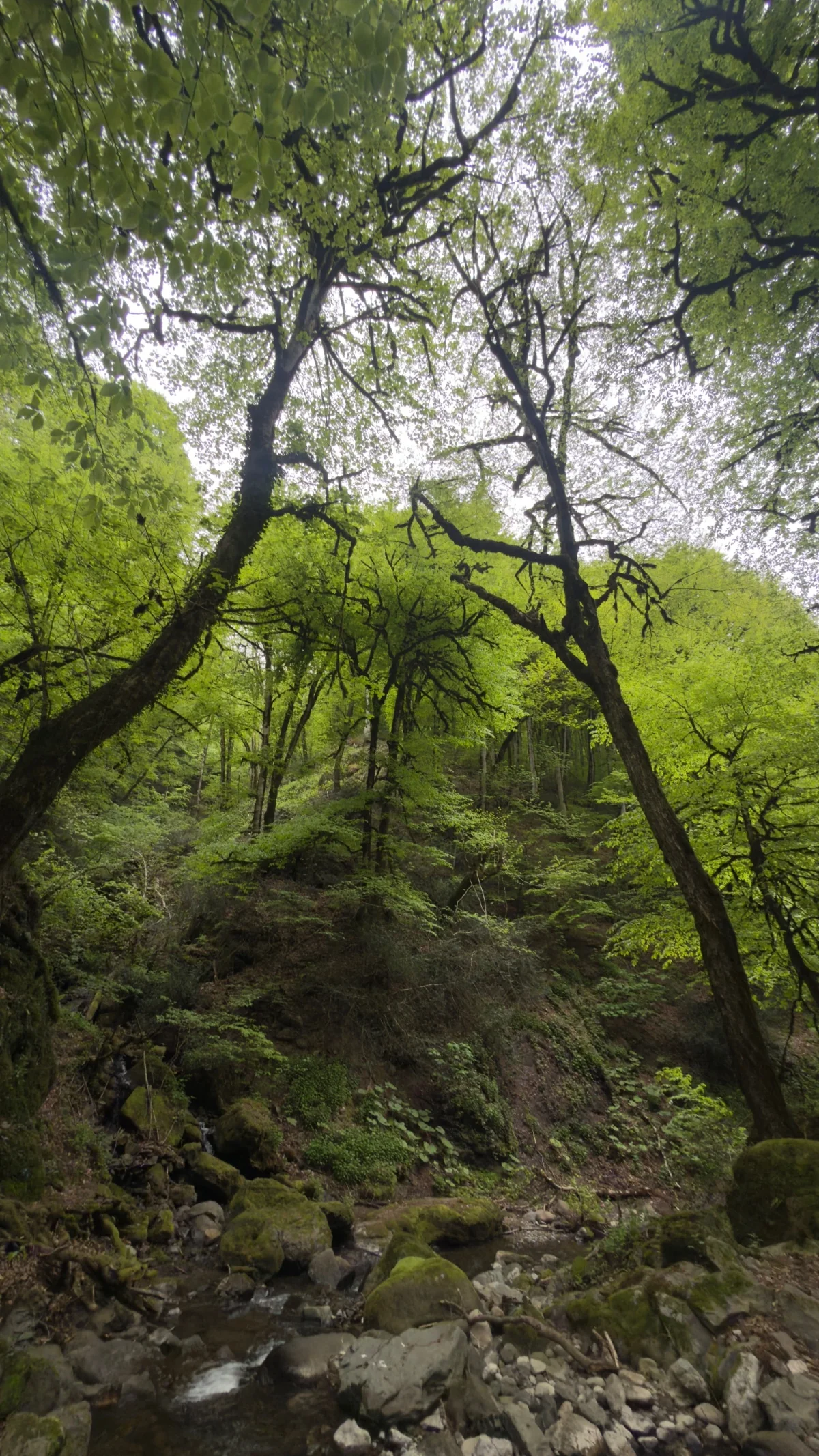 Şi-çır şəlaləsi, Astara — tur fotosu 2