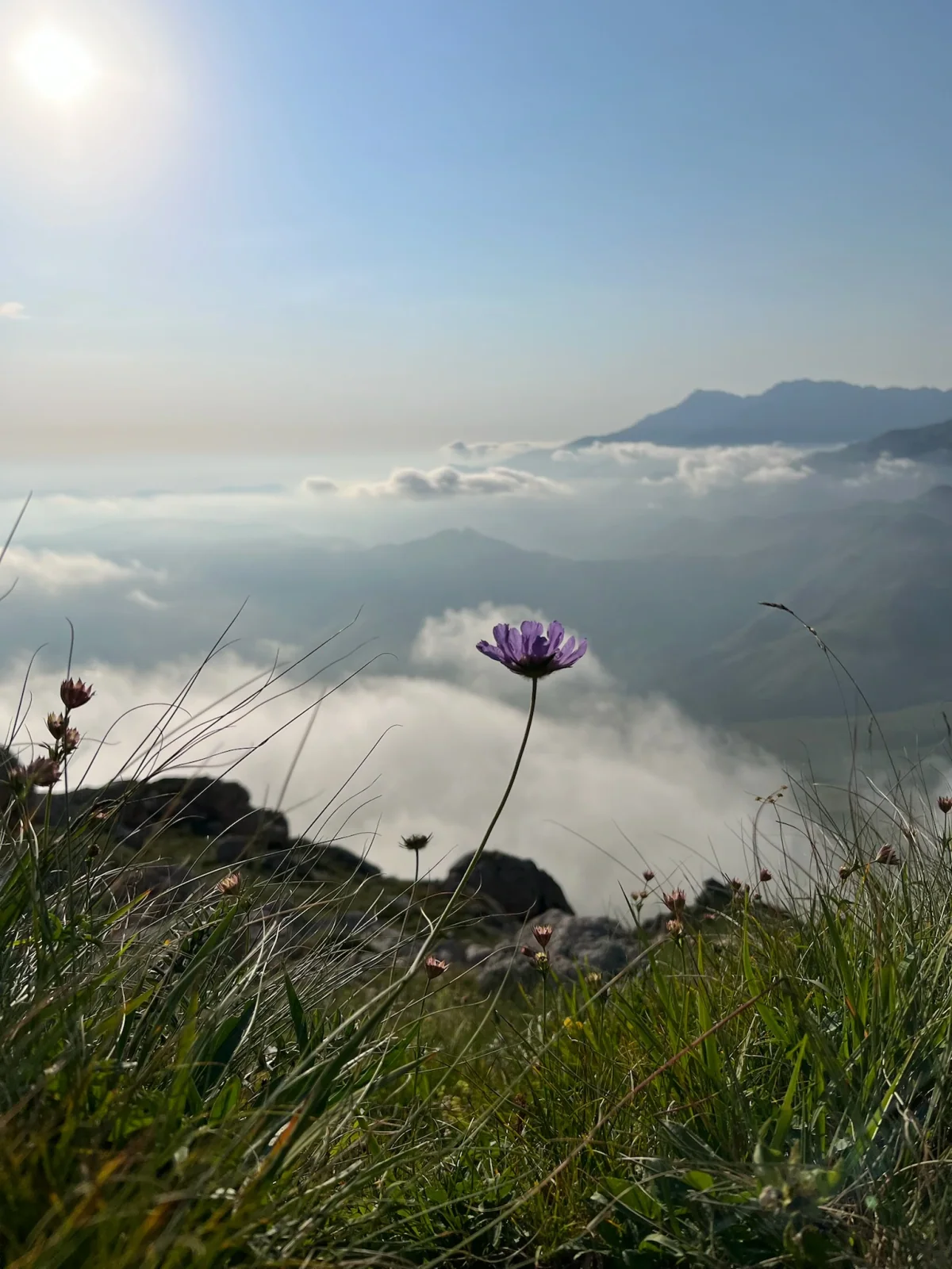 Kəpəz Zirvəsi 3066M, Göygöl — tur fotosu 4