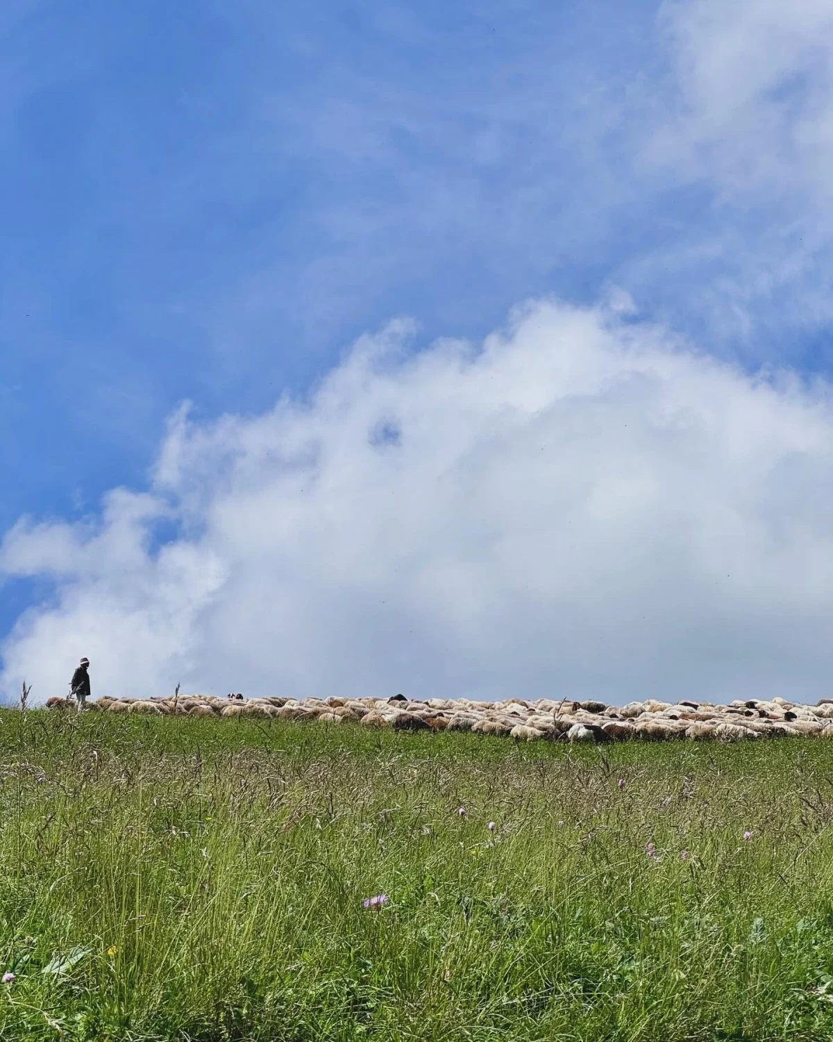 Zeyid-Buduq kəndləri arası hiking, Quba — tur fotosu 2