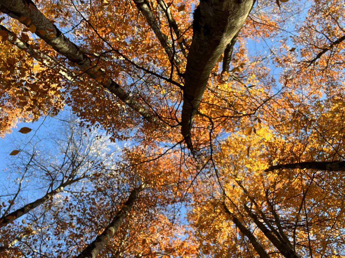 Garanohur-See, Ismayilli — Tourfoto 4