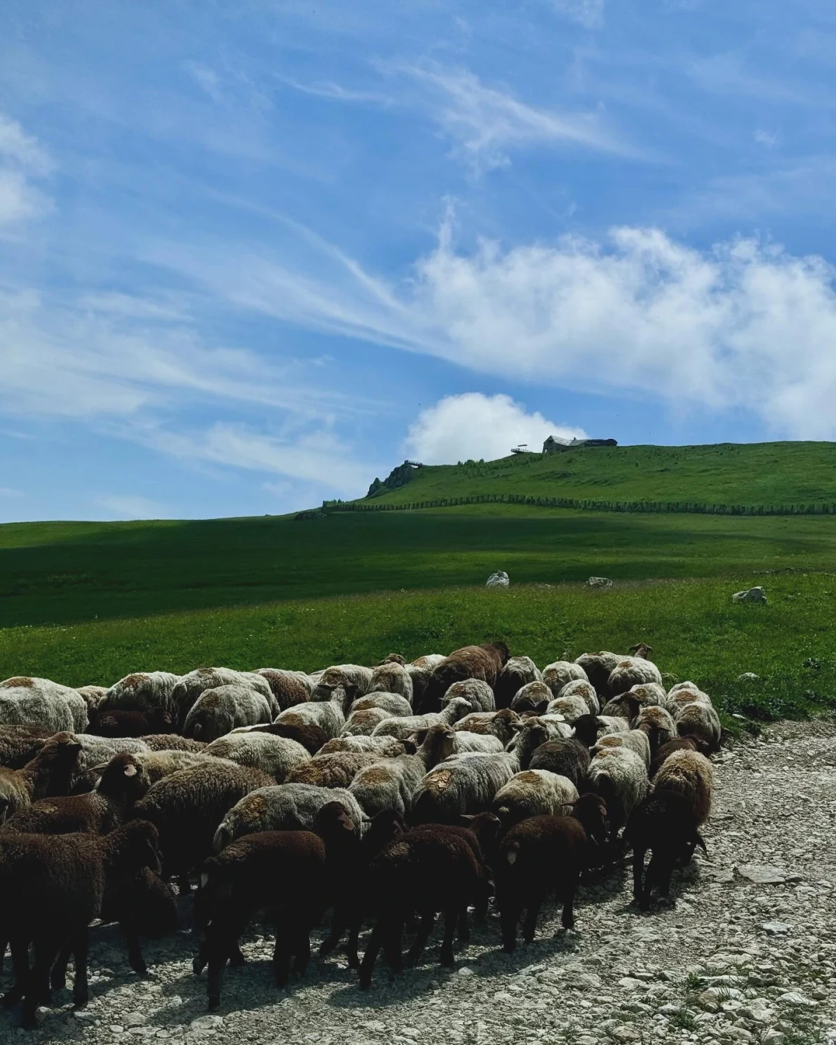 Zeyid-Buduq kəndləri arası hiking, Quba — tur fotosu 6