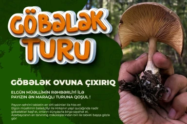 Lənkəran