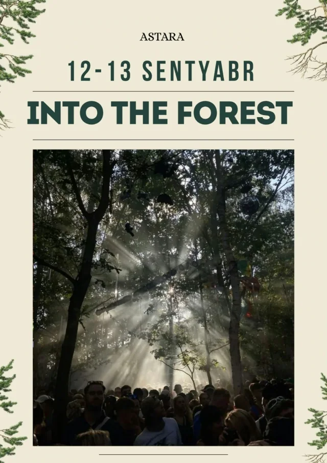 INTO THE FOREST 2 FESTİVALI, Astara — tur fotosu 4