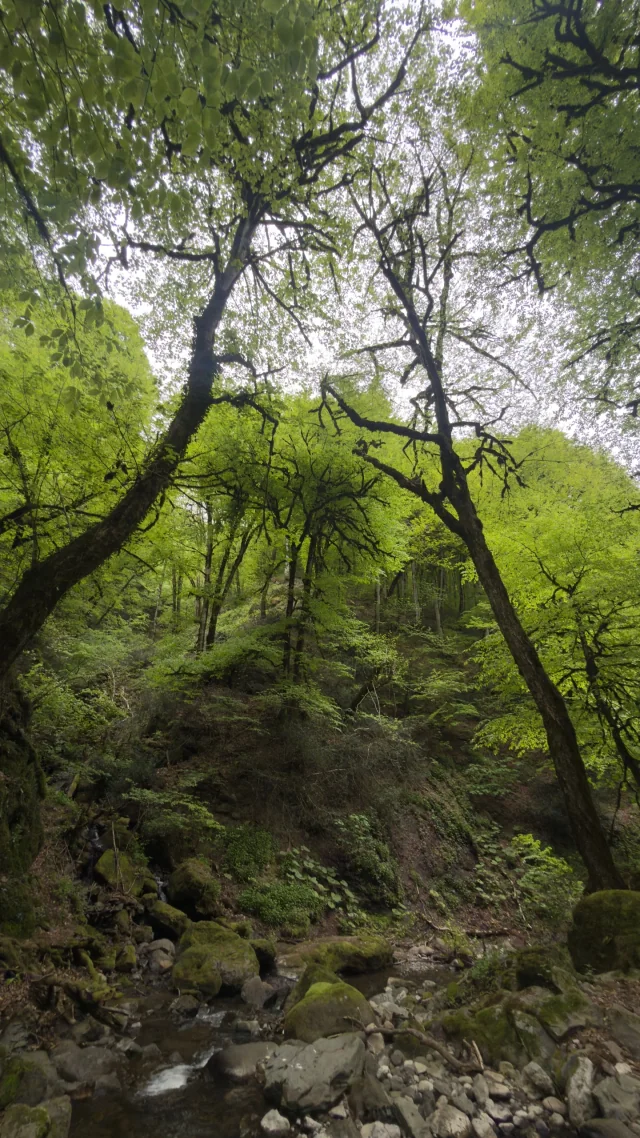 Şi-çır şəlaləsi, Astara — tur fotosu 2