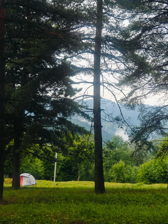 Şamlıq meşəsi - Tovuz kampı, Tovuz — tur fotosu 2
