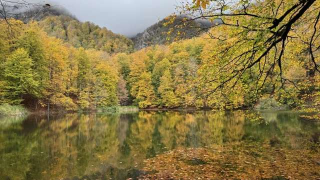 Möhtəşəm Qızıl Qaranohur gölü yürüşü🍁🍂, İsmayıllı — tur fotosu 5