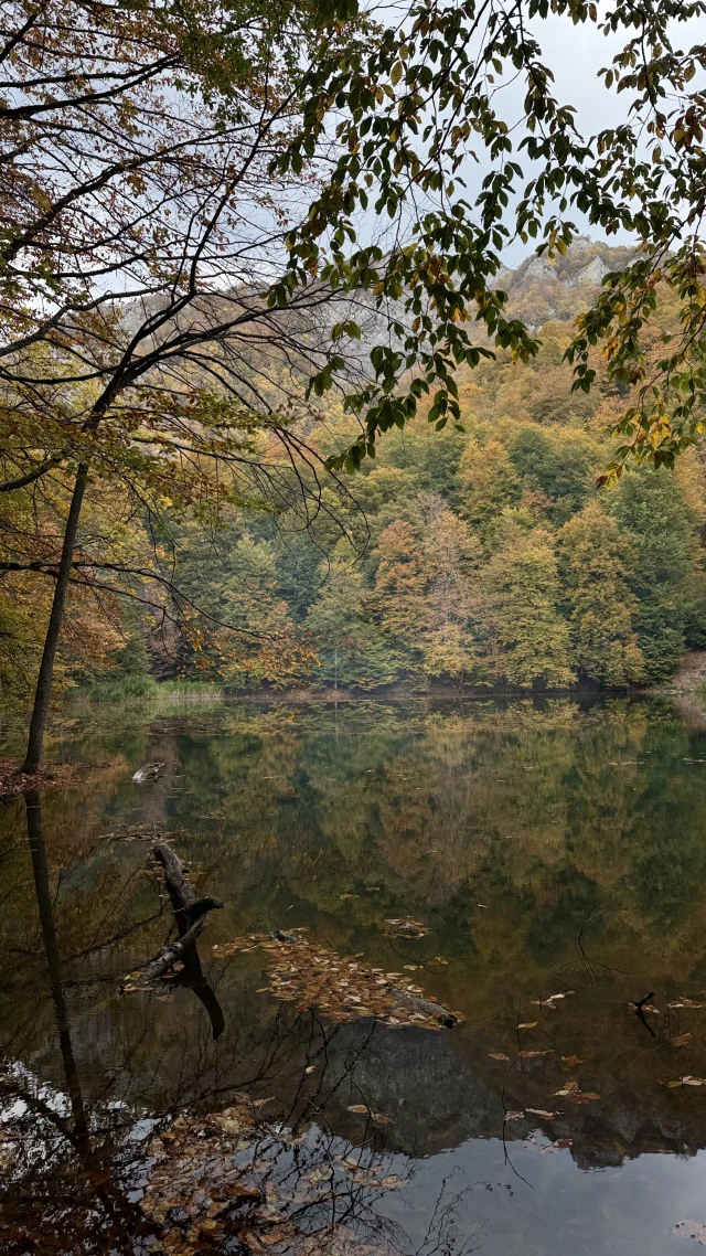 Möhtəşəm Qızıl Qaranohur gölü yürüşü🍁🍂, İsmayıllı — tur fotosu 4