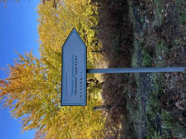 Garanohur-See, Ismayilli — Tourfoto 2