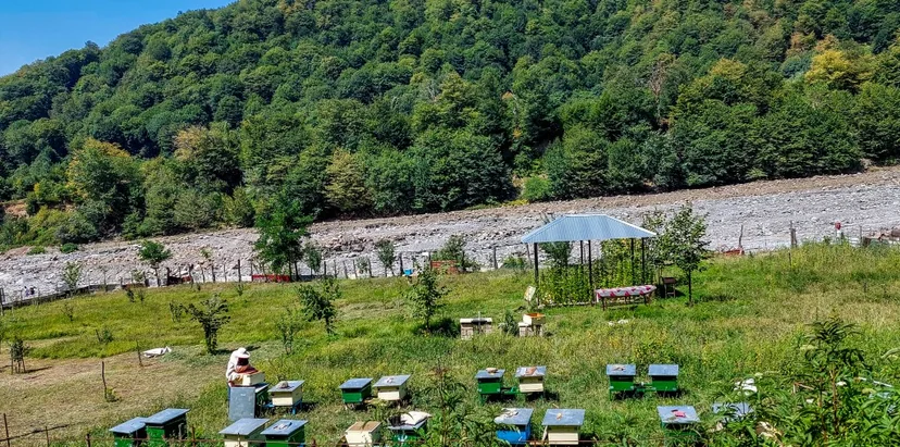 Soyuqbulaq şəlaləsi: Qəbələnin az adamın bildiyi 9 kilometri