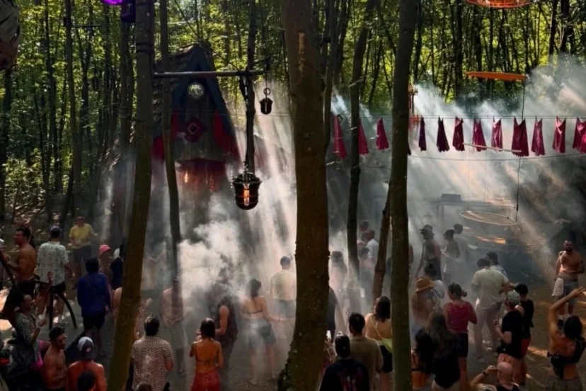 INTO THE FOREST 2 FESTİVALI