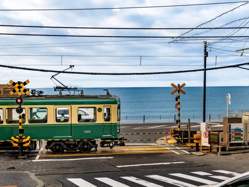 Tokyodan Kamakura və Enoshima Adası Özəl Günlük Turu — Böyük Buddha, Məbədlər, Bambuk Bağı və Okean Mənzərələri | Marşrutunu Özün Seç