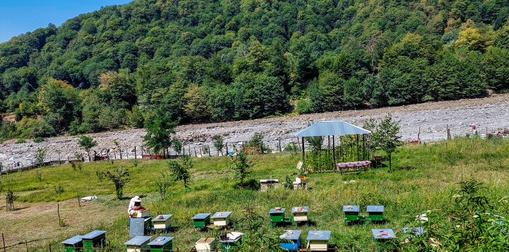 Soyuqbulaq şəlaləsi: Qəbələnin az adamın bildiyi 9 kilometri